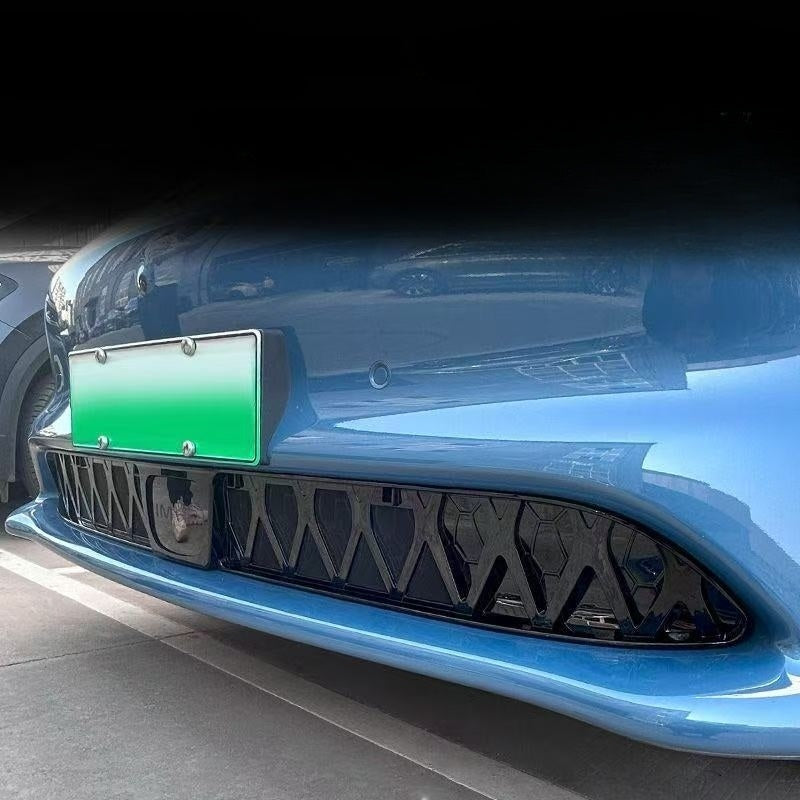 Car Front Lower Bumper Anti Insect Metal Net for MG IM6