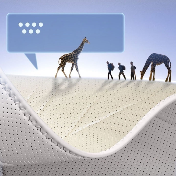 Nappa Leather Seat Covers for MG IM6